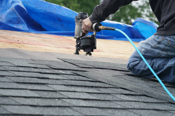 Best Commercial Roof Installation  in Palmhurst, TX