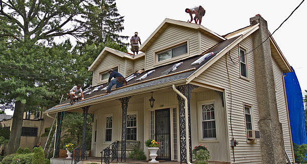 Best Affordable Roofing Company  in Palmhurst, TX