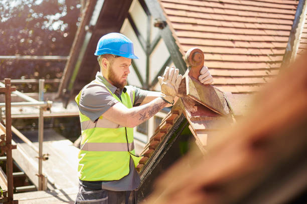 Tile Roofing Contractor in Palmhurst, TX