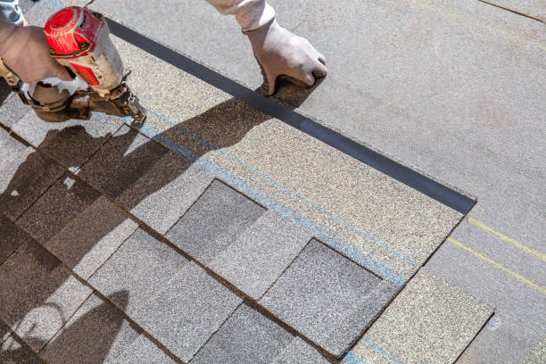 Best Gutter Installation and Roofing  in Palmhurst, TX